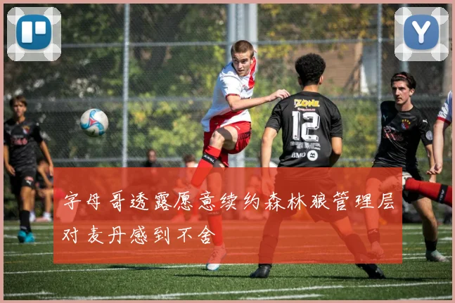 字母哥透露愿意续约森林狼管理层对麦丹感到不舍